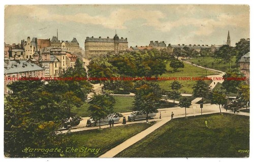 Harrogate the stray - the,