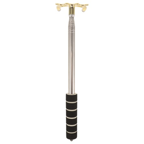 Professional pool cue - professional,