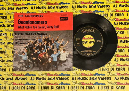 The sandpipers - 45,