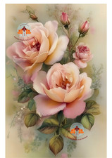 FURNITURE, CRAFT TRANSFER