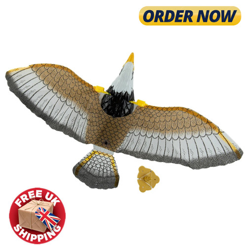 Flying bird hawk - flying, scarer