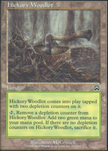 Hickory woodlot english - hickory,