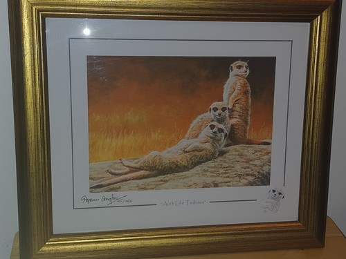 Lovely framed stephen gayford - stephen,