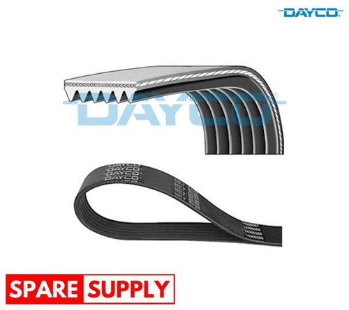 Ribbed belts for renault - v-ribbed,