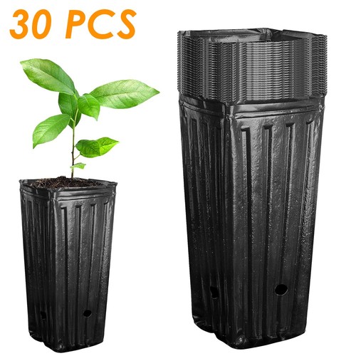 Pcs tree pot tall seedling - 30,