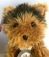 Yorkshire Terrier Pair Dogs