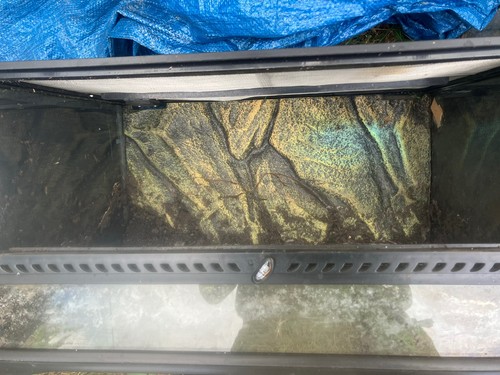 Exo terra vivarium terrarium - exo,