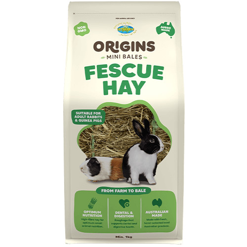 Guinea pig rabbit - rabbit, hay