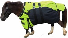 1200D Miniature Weanling Donkey Pony Horse Foal Winter Turnout Waterproof