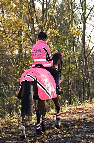 Waterproof quilted vis - waterproof,