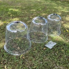 Large plastic plant protection - plant,