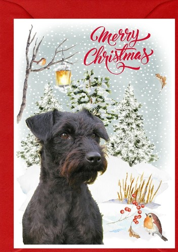 Patterdale terrier dog x - patterdale, (4"x