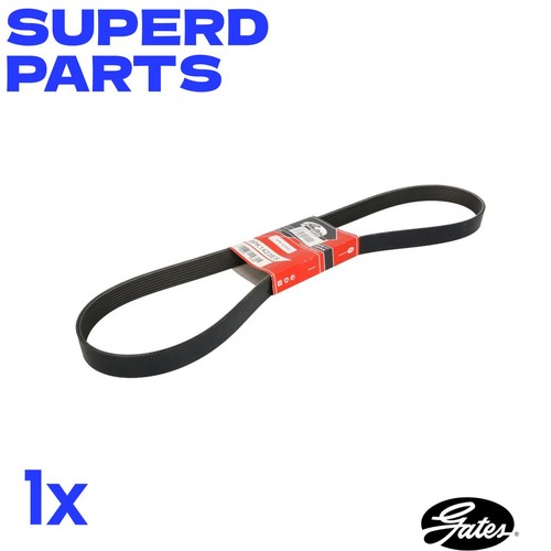Ribbed belt 8pk1423hd for - v-ribbed,