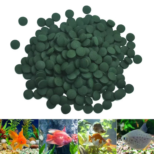 100pcs spirulina tablets - 100pcs,