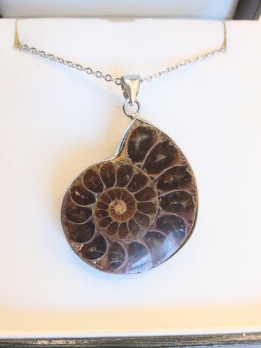 Silver tone authentic ammonite - silver,