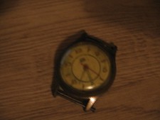 Project watch - Germany UMF