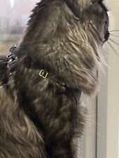 SUPAKIT Soft Leather CAT HARNESS +Lead Large Breeds 6-8kg Kitten/cat RRP £60