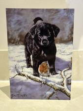 Black Lab Puppy Christmas Card