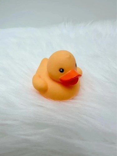 Our generation duck bath - duck,
