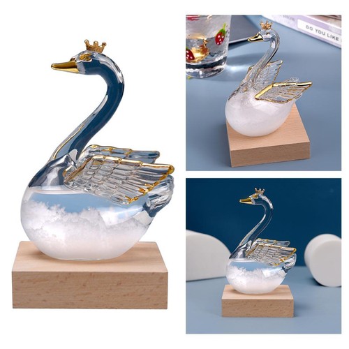 Storm glass weather - glass,
