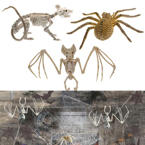 Halloween animal skeleton - animal,