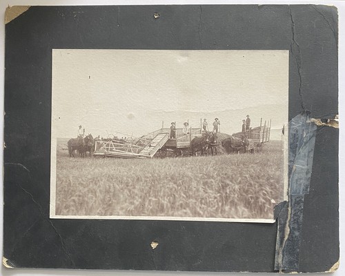 Vintage 5x7 cabinet photo - 5x7,