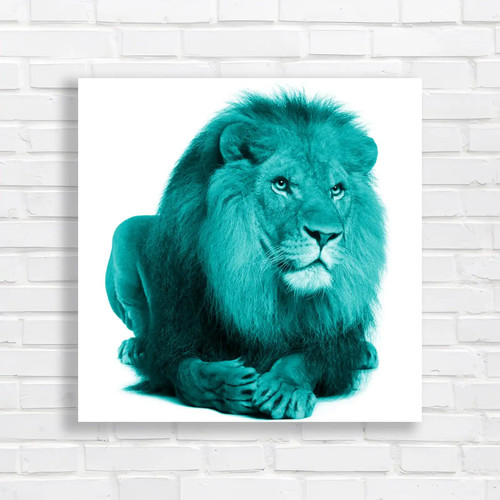 Portrait laying lion square - laying,