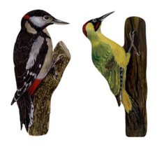 Woodpecker Magnet Set - Green