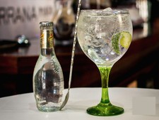 1x Gin tonic wine cocktail