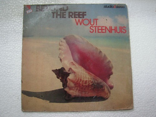 Wout steenhuis beyond the - steenhuis,
