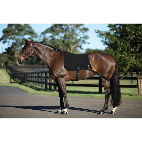 Showmaster horse core master - core,