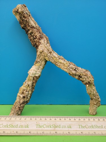 Cork bark branch 28cm - bark,