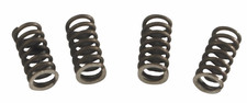 Clutch Springs MotorHispania