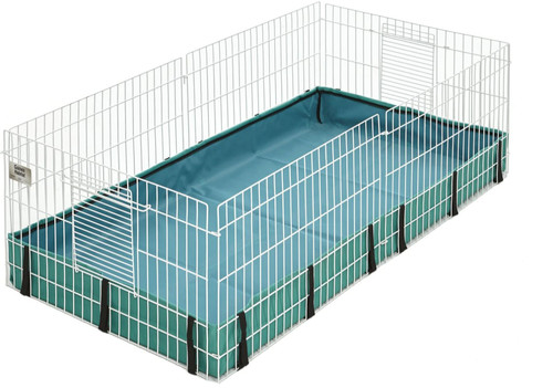 Midwest guinea habitat - midwest,