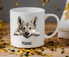 Norwegian Elkhound Dog Peeping