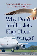 Why Don't Jumbo Jets Flap