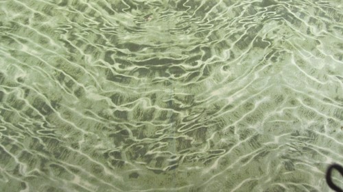 Monterey bay american - bay,