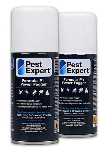 Flea fogger pest expert - flea,