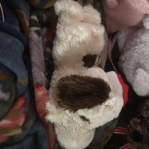 ♡Snoopy stuffed