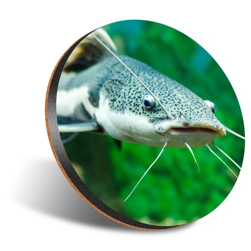 Round 12cm coaster - 1,
