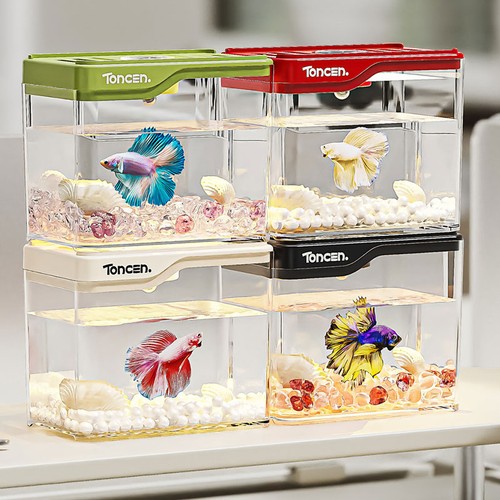 Plastic transparent mini betta - mini,