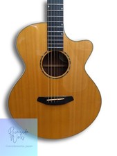 Breedlove premier auditorium - breedlove,