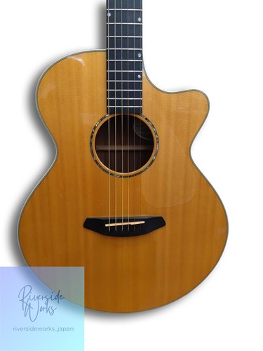 Breedlove premier auditorium - premier,