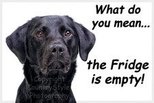 Black Labrador  Retriever Pet Dog Funny Fridge Magnet empty fridge gift