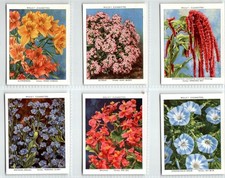 WILLS: Garden Flowers New Variety 2nd Series 1939 Set 40 Large Cigarette Cards