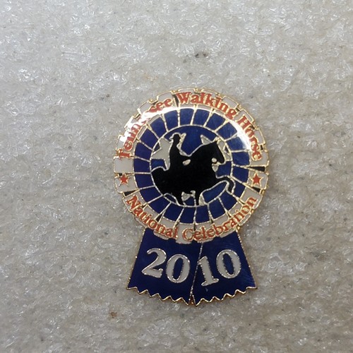 Tennessee walking horse 2010 - horse,