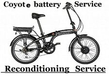 Viking Coyote Connect Electric