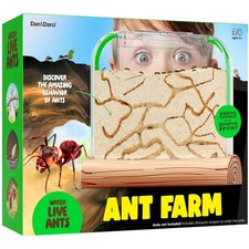 Ant Farm Kit - Sand Habitat