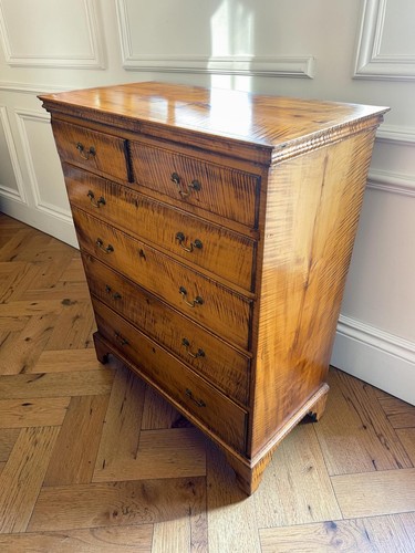 18th century american tiger - century,