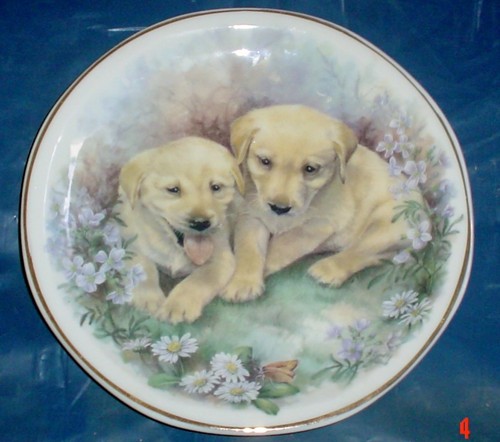 Lovely norfolk fine china - norfolk, 6